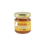 Quillajahonig